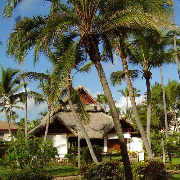 Meet your Posher, Ac - Picture 1 of 1